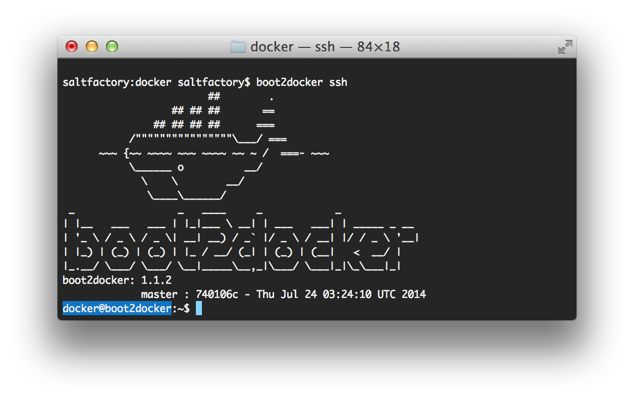 boot2docker ssh